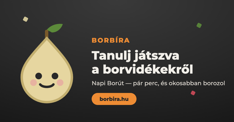 Borbíra — tanulj játszva a borvidékekről