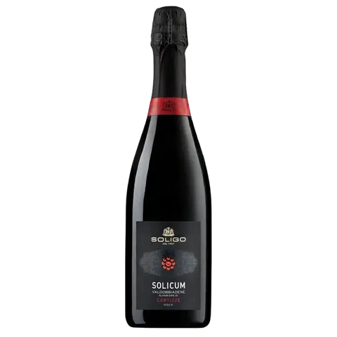 Soligo Solicum Cartizze Brut Valdobbiadene Superiore di Cartizze DOCG [0,75L]