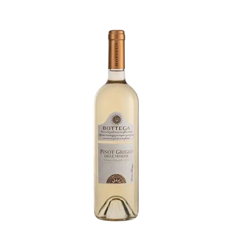Bottega Celine Pinot Grigio [0,75L|2024]