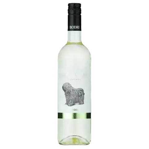 Bodri Bodrikutya (Fehér) [0,75L|2025]